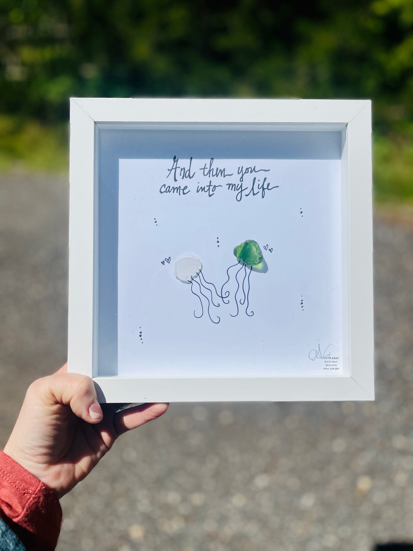 Jellyfish Came into my life