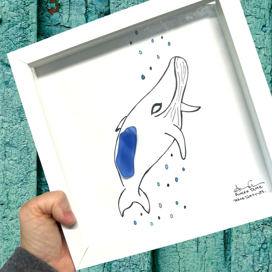 Humpback_Whale_with_bubbles