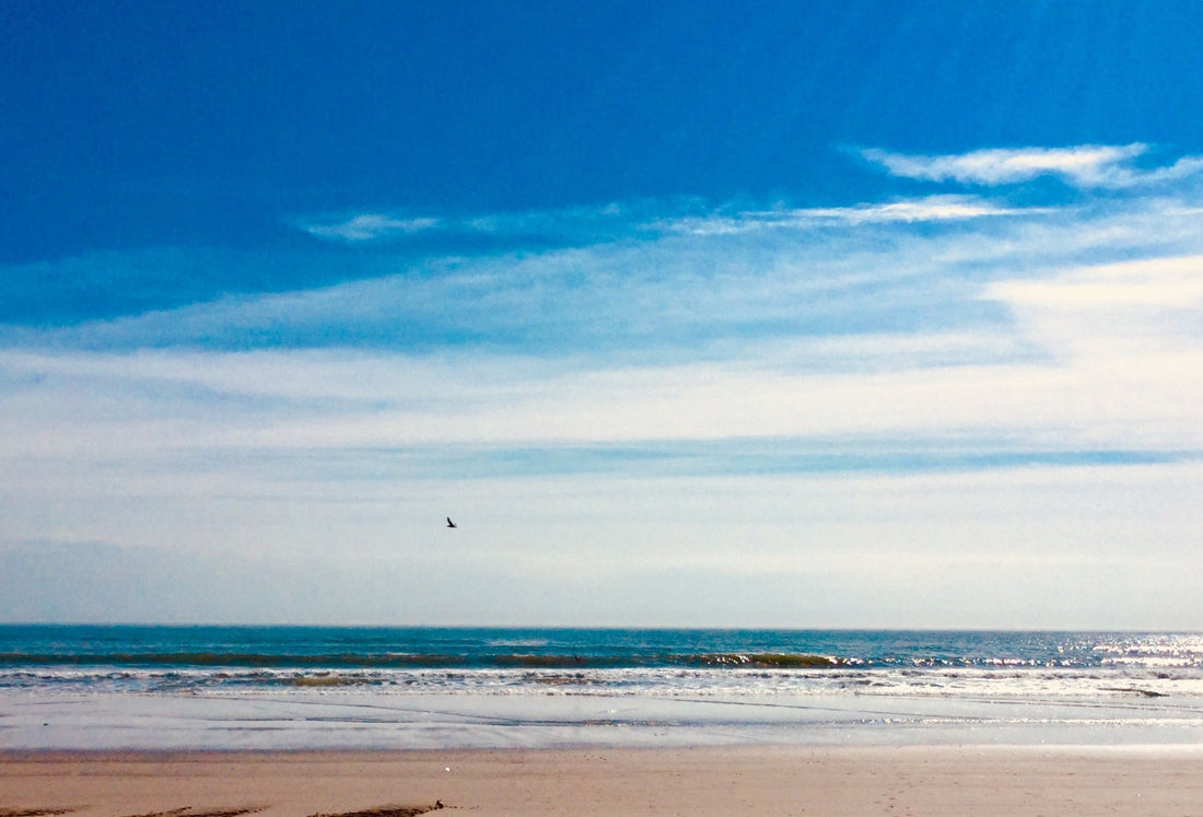 Wide Blue Sky over Back Bay of New Jersey 