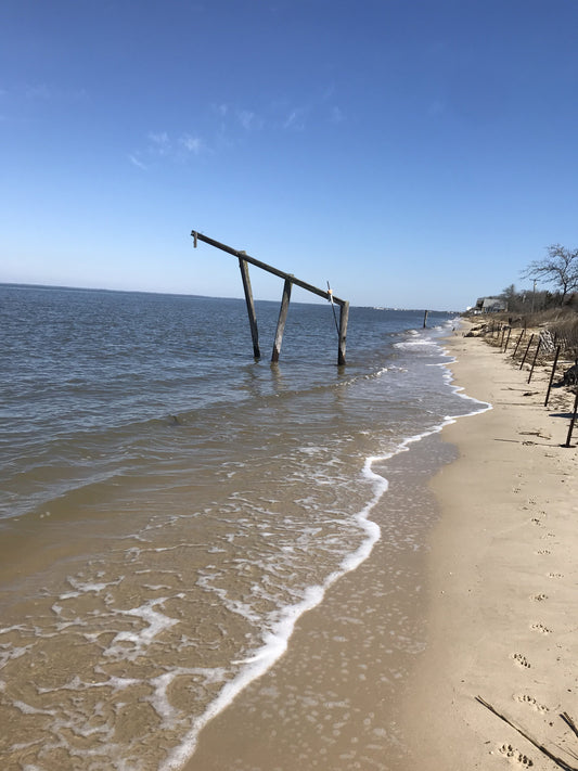 Pilings at the Bay supporting each other 