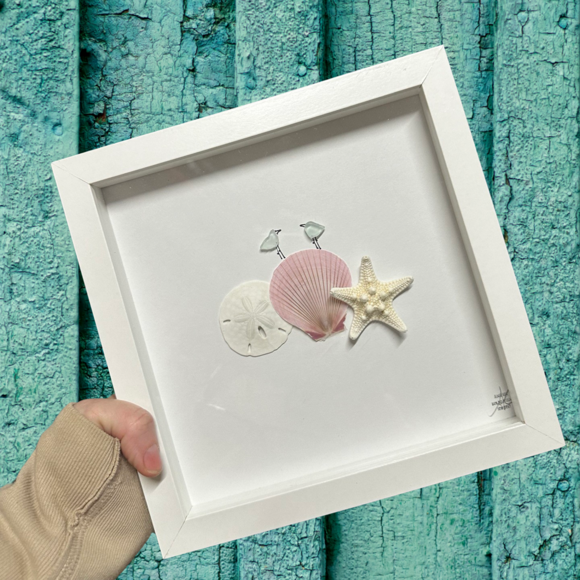 sand dollar, shell, starfish, Sea shell sea glass art no text two little birds sea glass art 