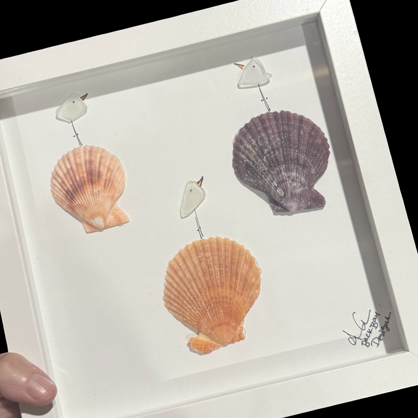 3_birds_3_shells_color_variation_ZOOM 