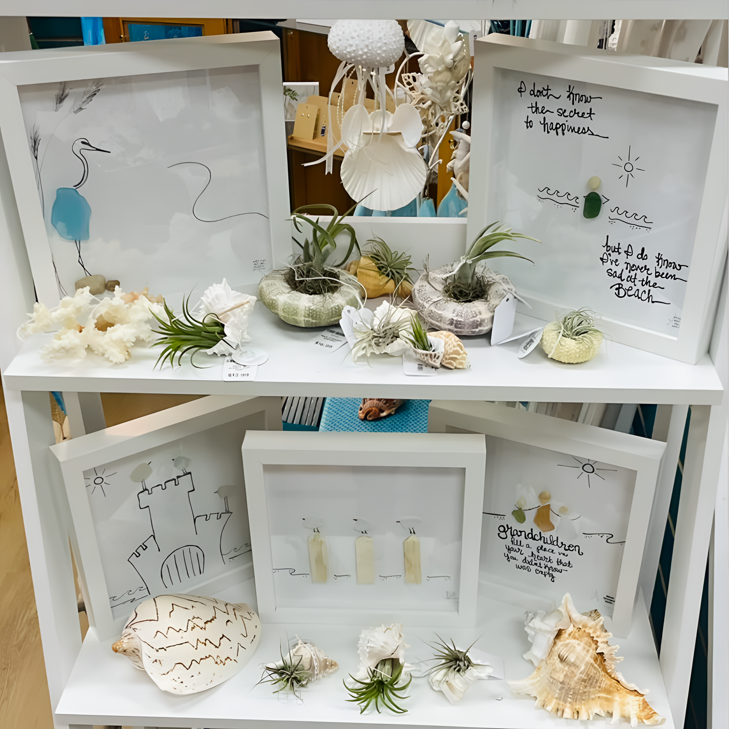 BBD_Assorted_8x8with_airplants_square_upscale 