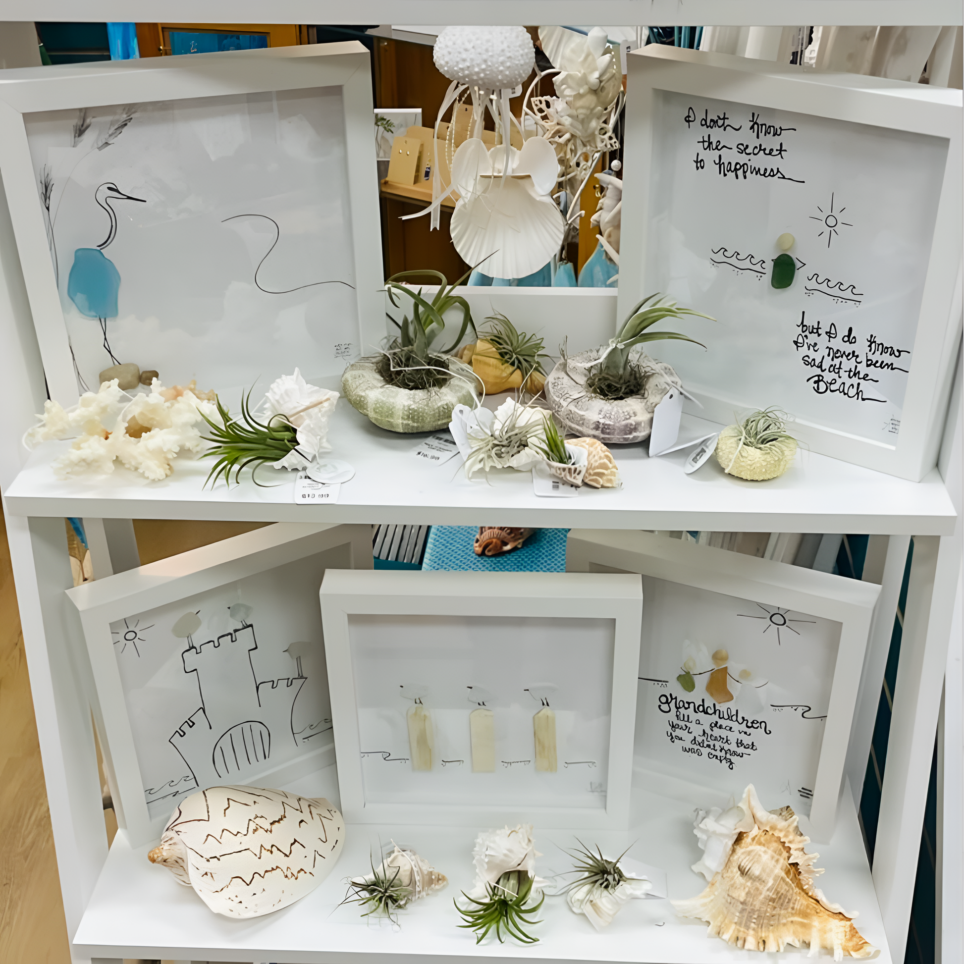 BBD_Assorted_8x8with_airplants_square_upscale 