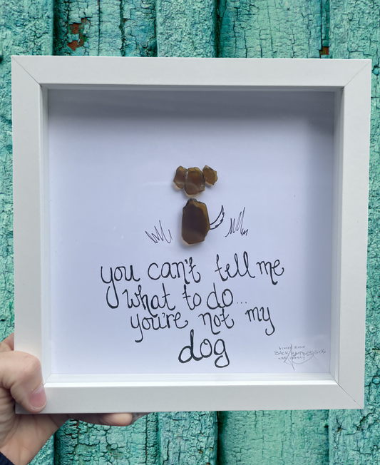 Not My Dog