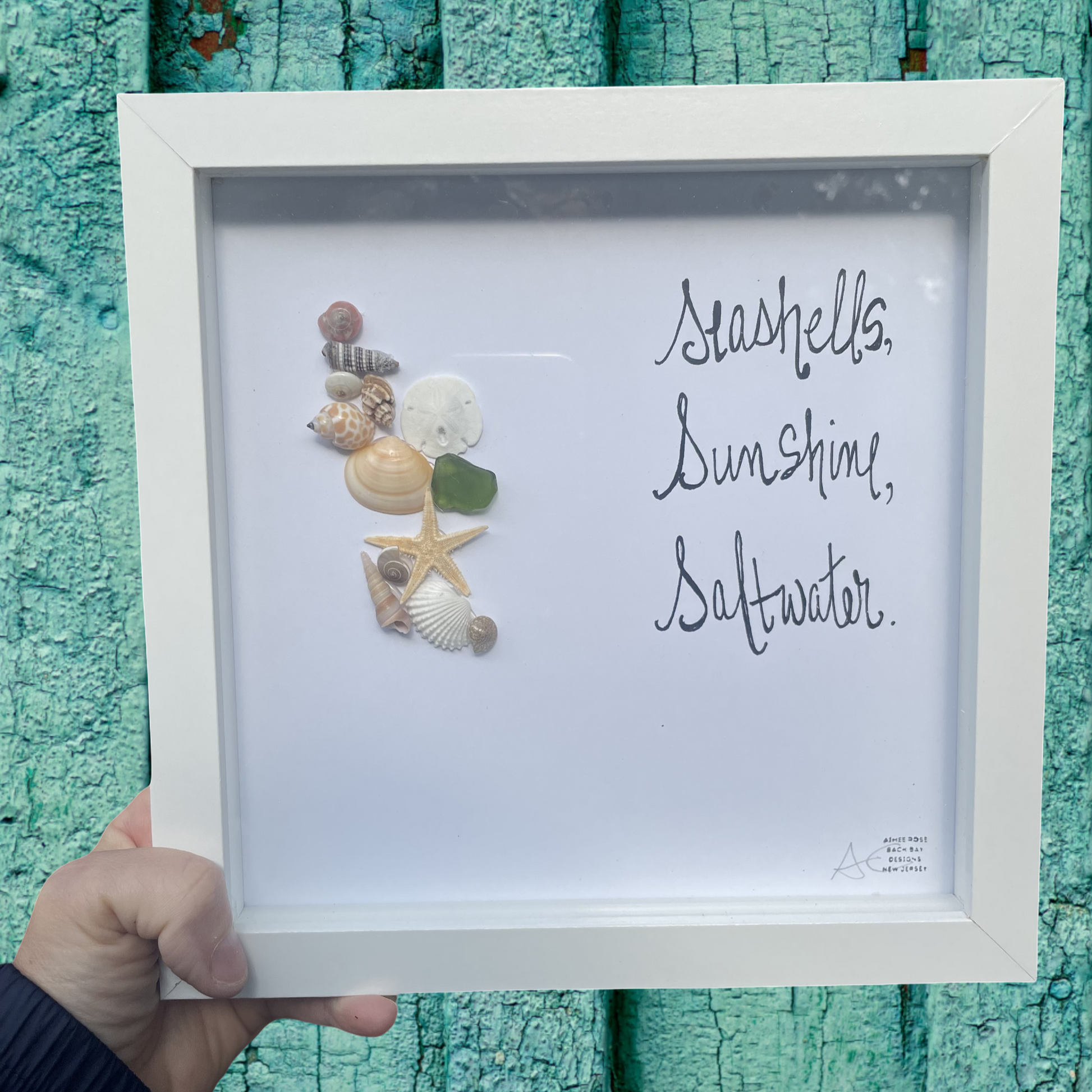 Seashells_sunshine_saltwater sea glass art back bay designs 