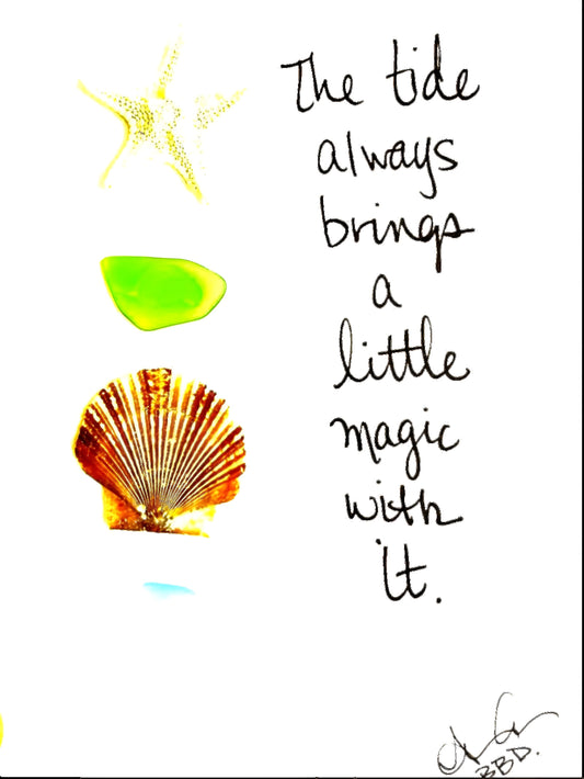 "The tide always brings a little magic with it." Real seashells, starfish and sea glass pieces in a vertical arrangement next to hand drawn text. 