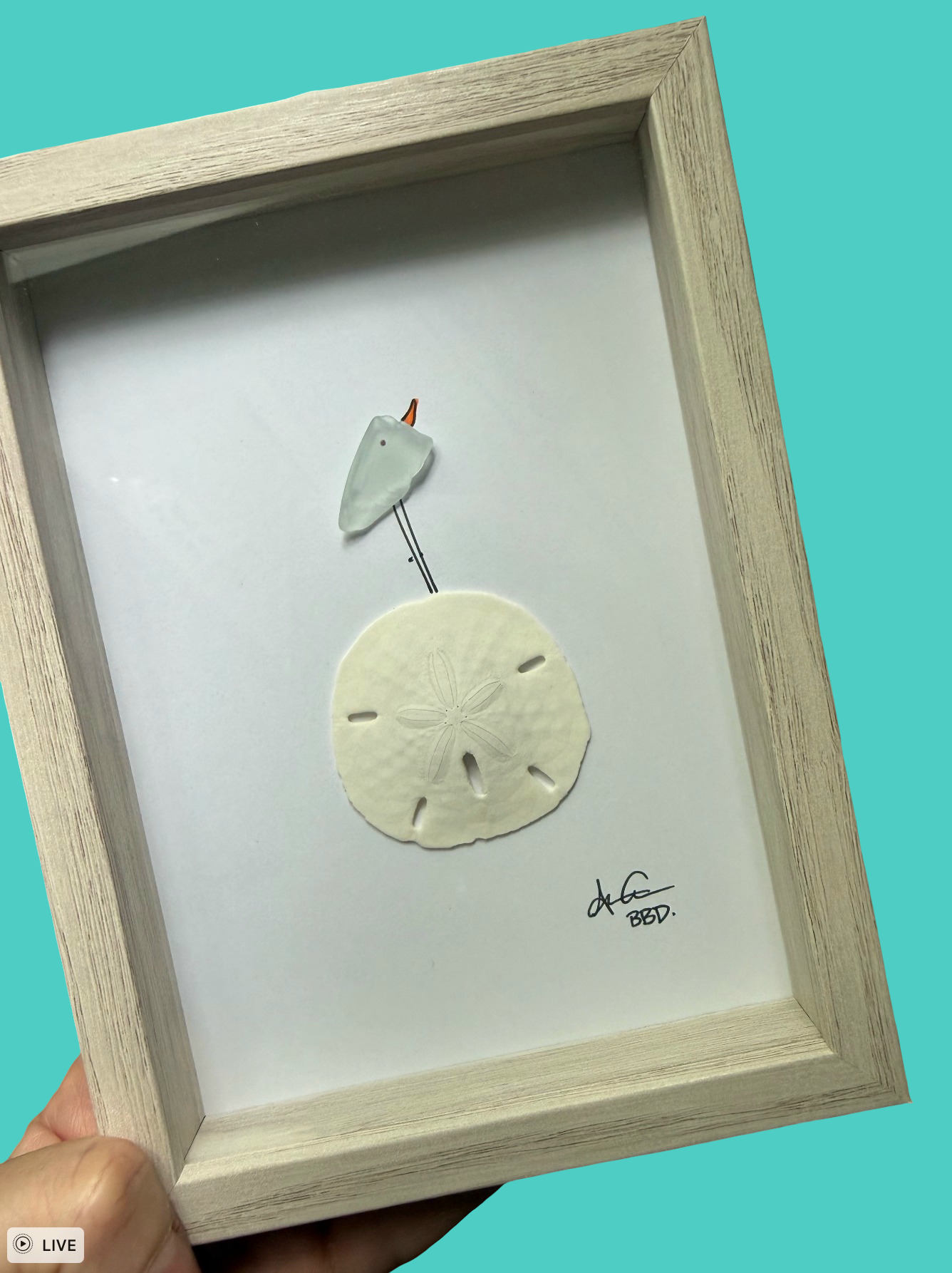 Bird on Sand dollar - SLIM Sea Glass Art,  5x7 Whitewash Frame