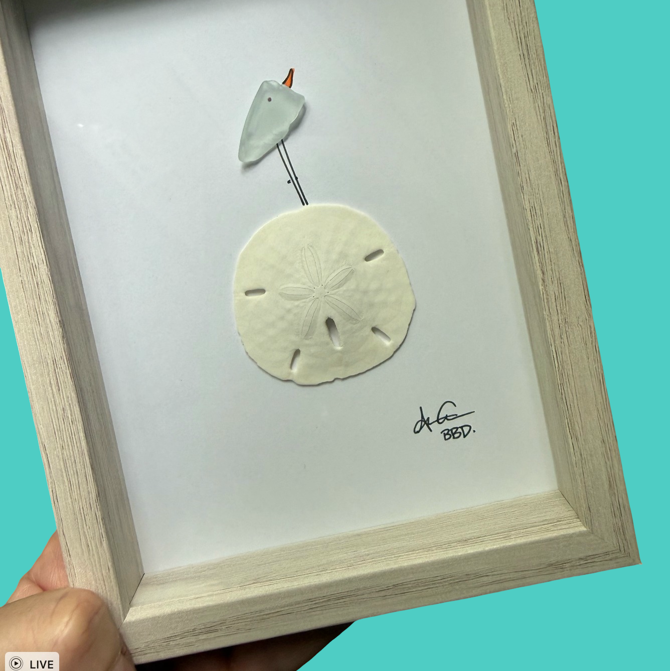 bird_on_sand_dollar_5x7_teal_square