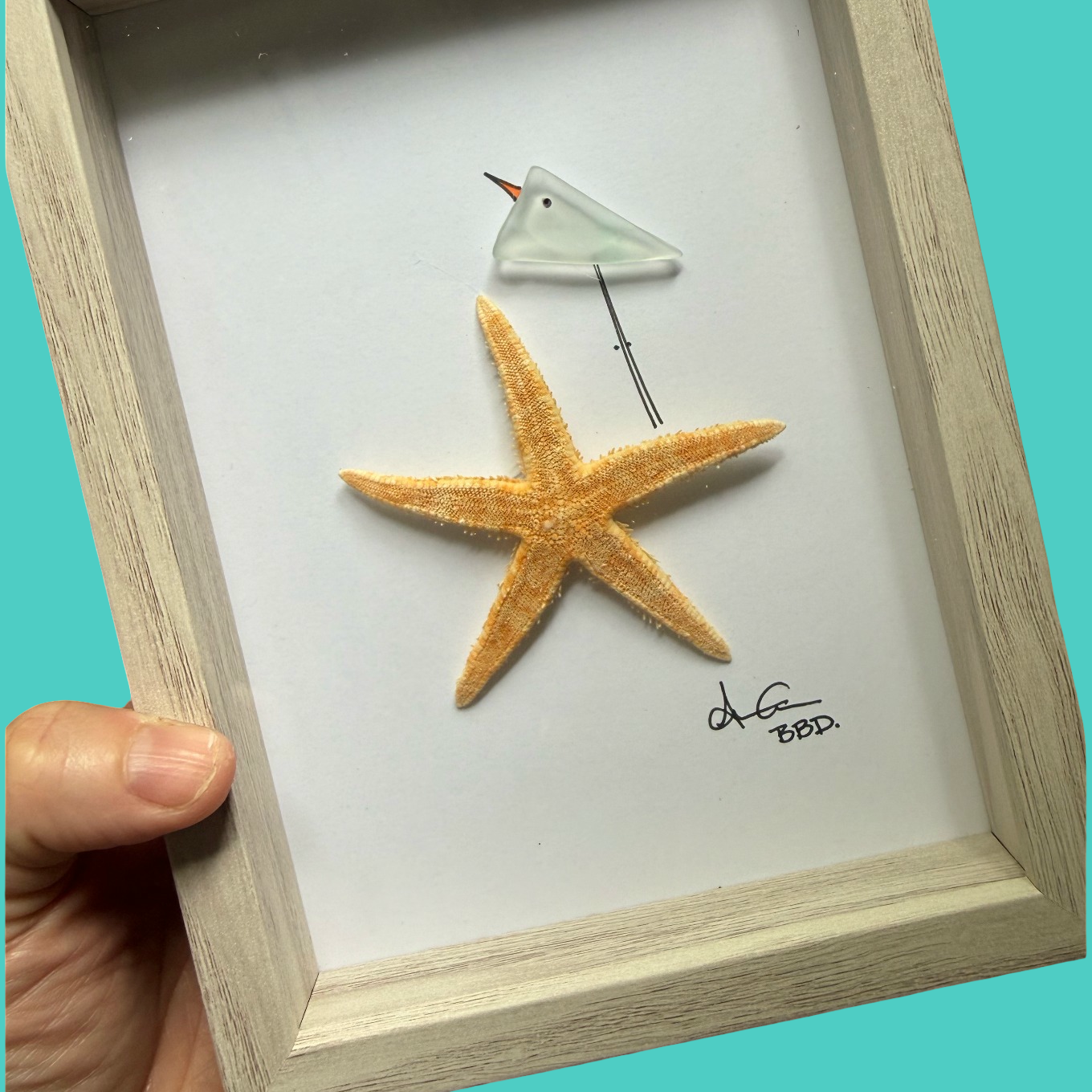 bird_on_starfish_5x7_on_TEAL_ZOOM