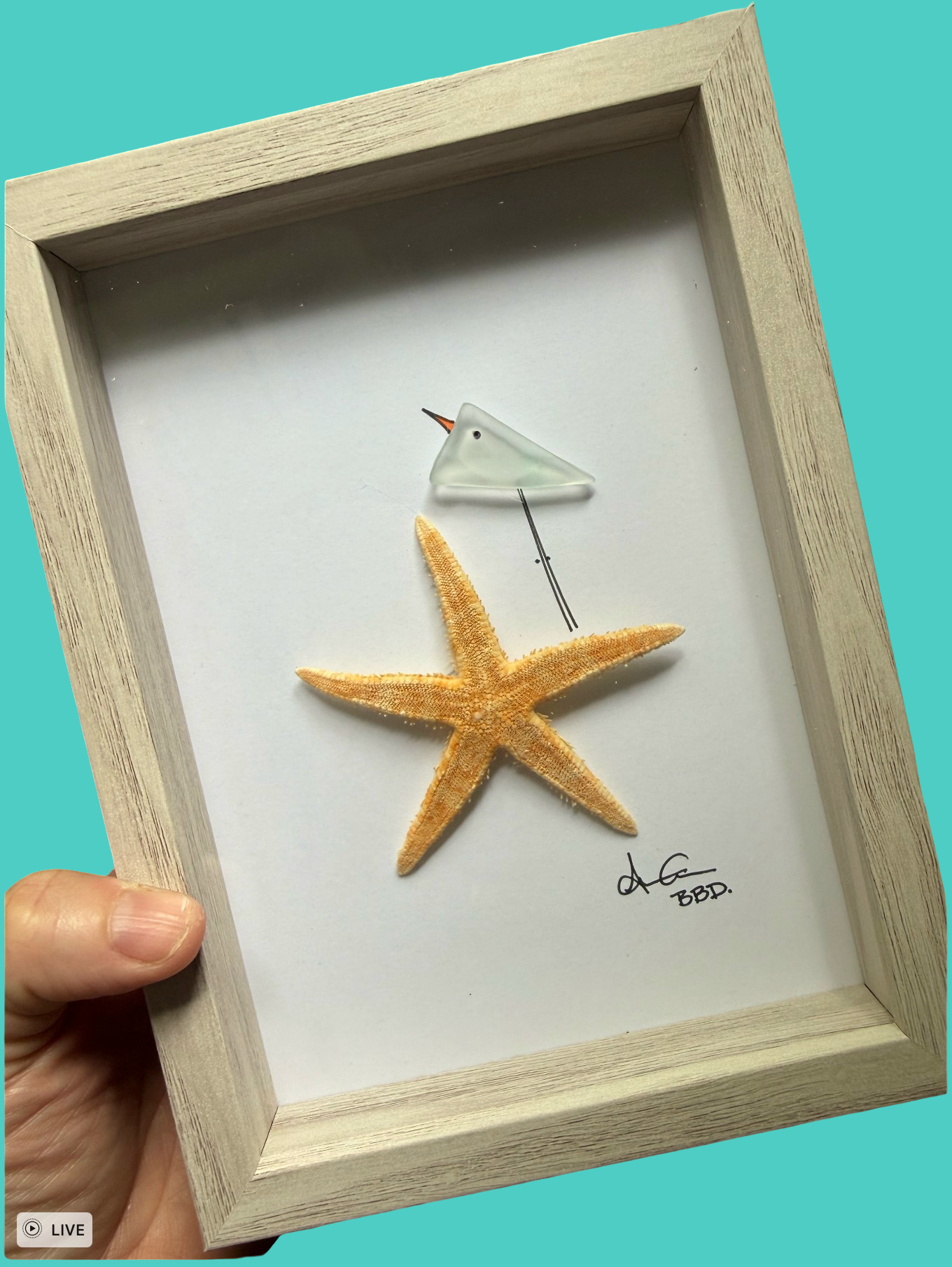 Bird on Starfish - SLIM Sea Glass Art,  5x7 Whitewash Frame
