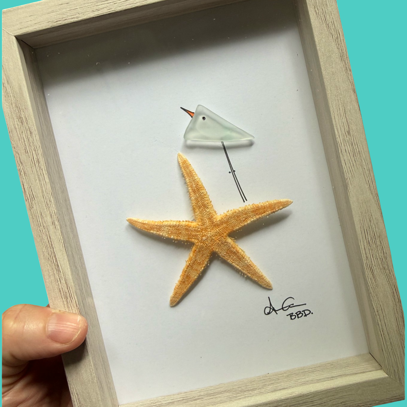 bird_on_starfish_5x7_on_TEAL_square