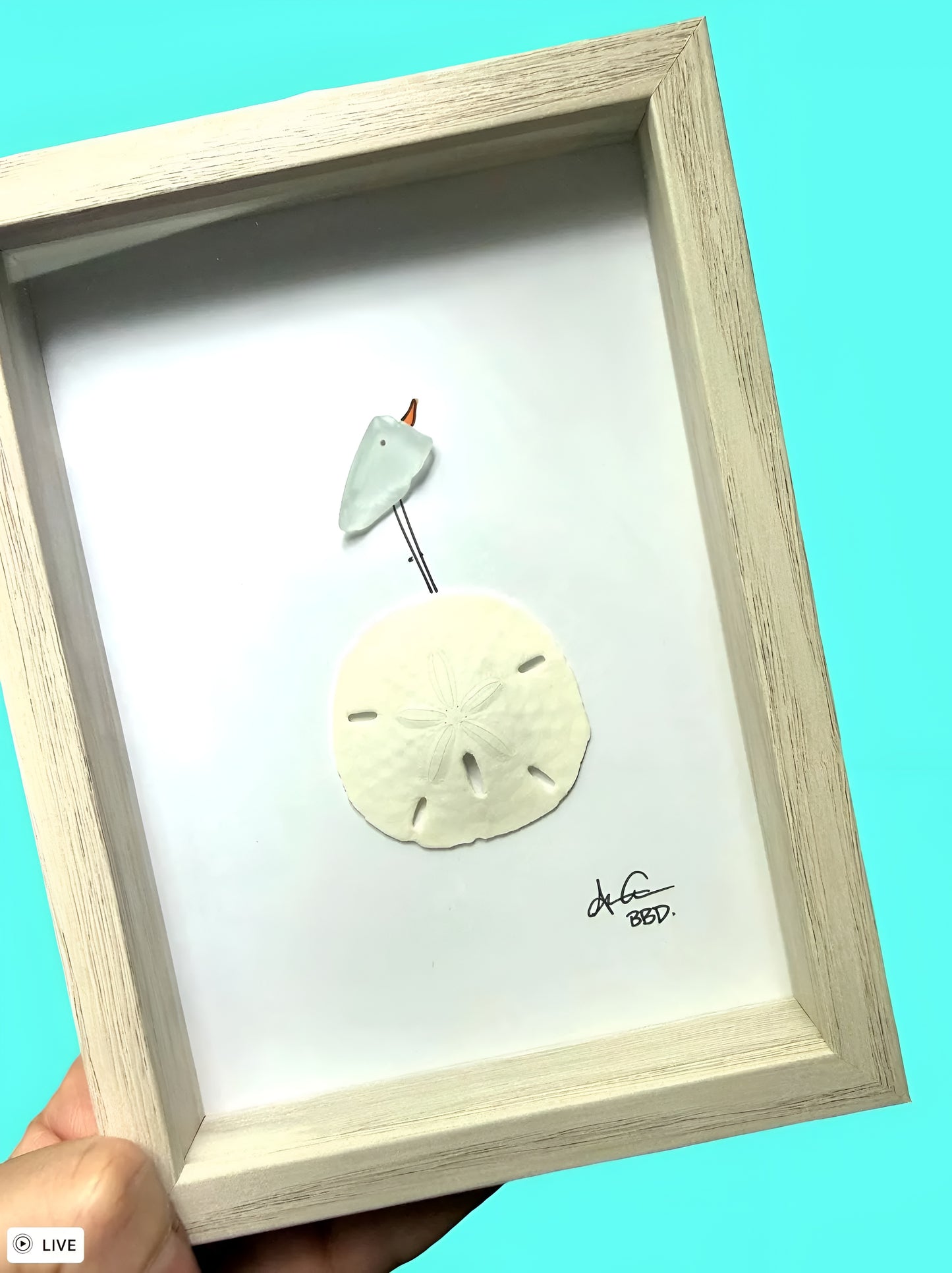 Bird on Sand dollar - SLIM Sea Glass Art,  5x7 Whitewash Frame
