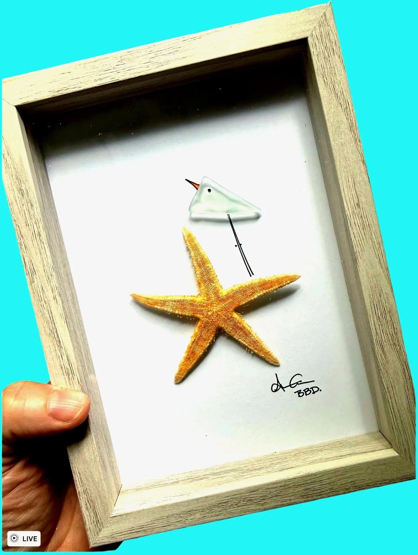 Bird on Starfish - SLIM Sea Glass Art,  5x7 Whitewash Frame