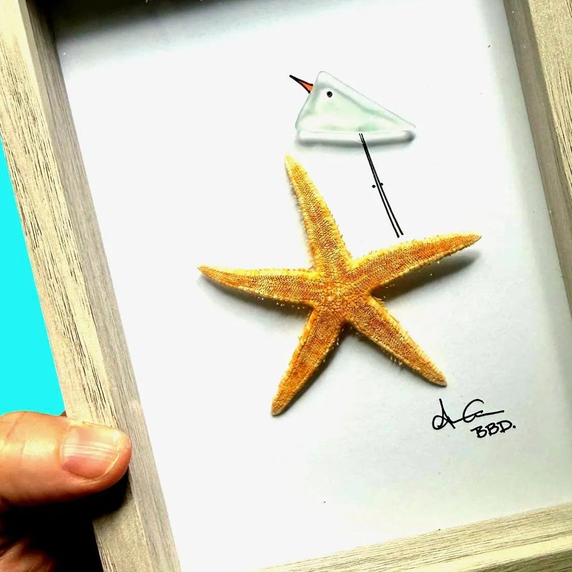 birdonstarfishbrighter5x7_ZOOM