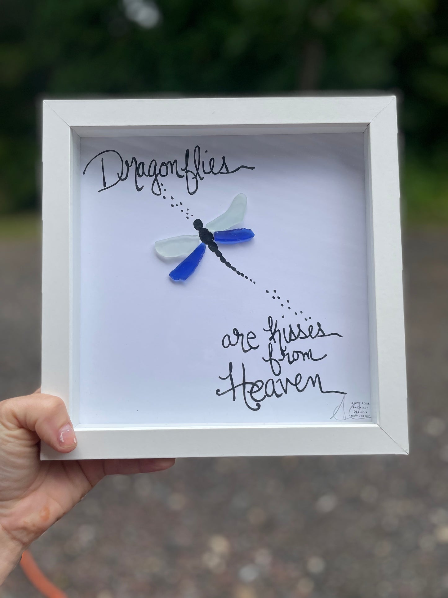 Dragonfly heaven