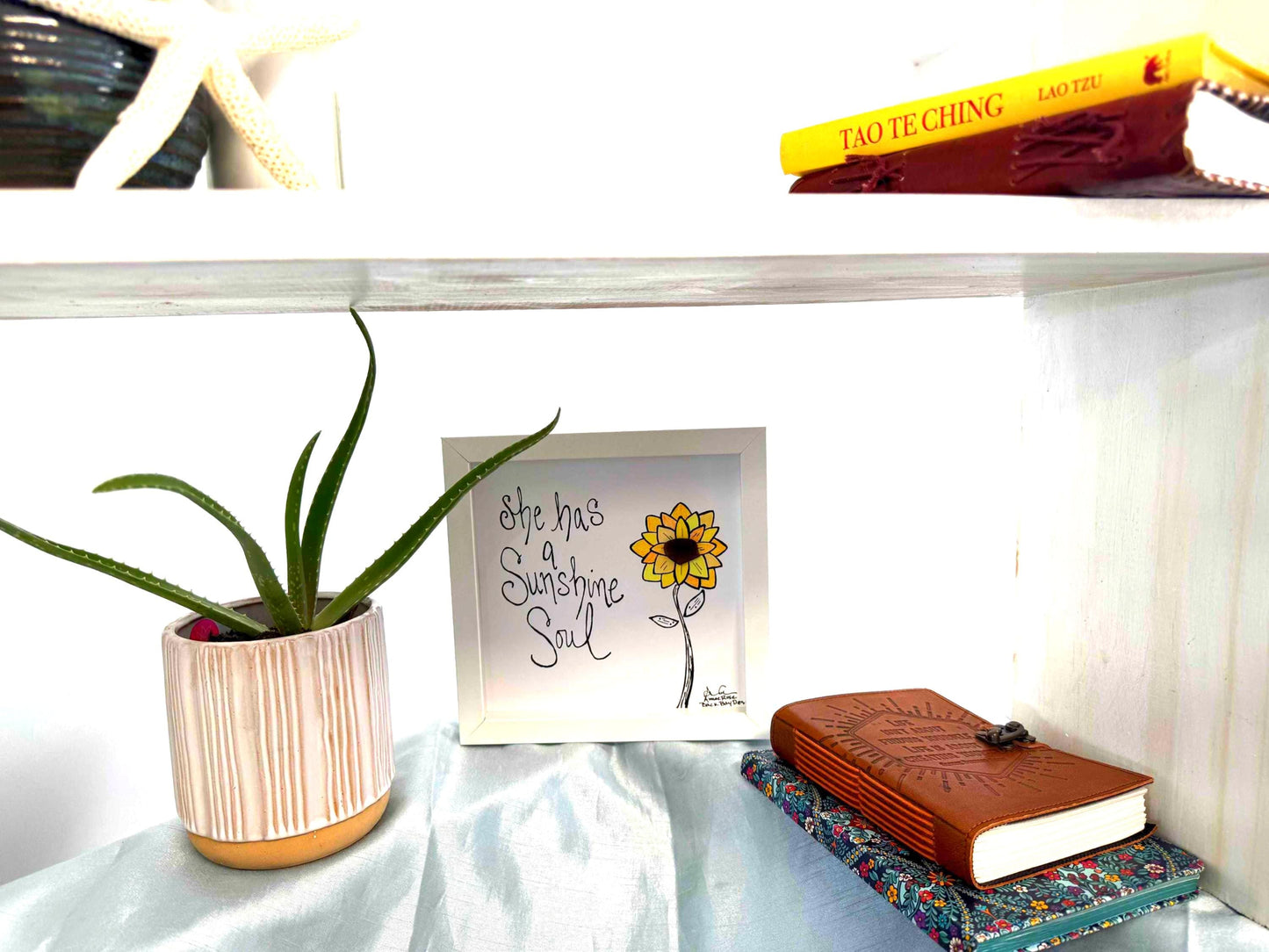 sunshine soul x8 on shelf 